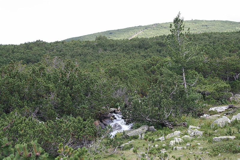 Bulgaria 2008 534
